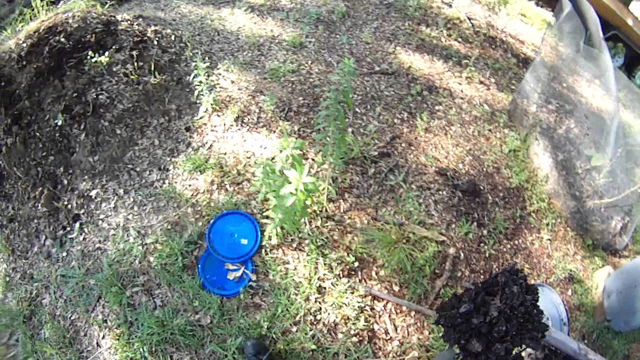 How to Fix an Anaerobic Compost Pile, part II