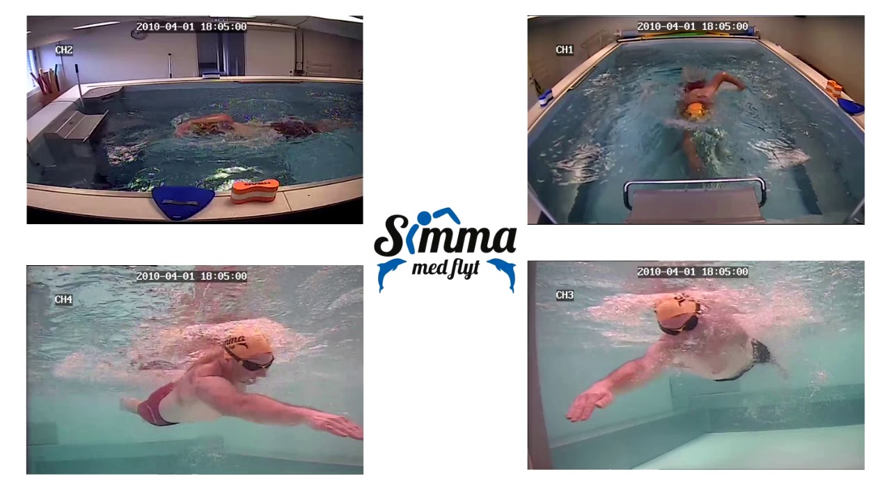 Endless pool 2019