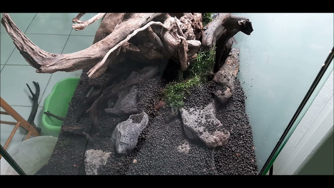 TUTO AQUASCAPING 150 LITRES + bonus