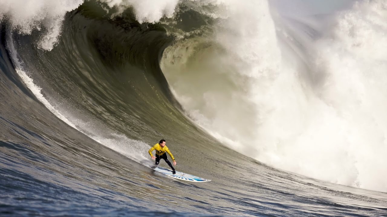 surfing vibe