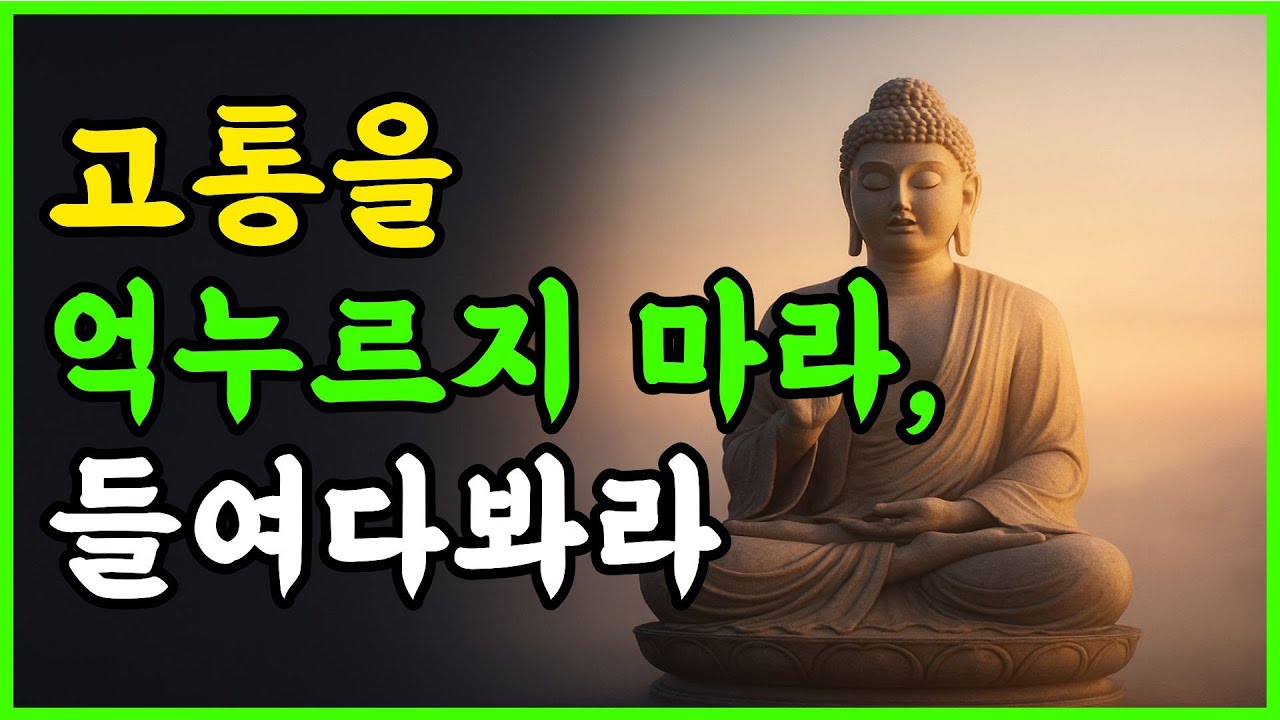 고통이 스승이 되는 순간이 온다 #부처님말씀 #부처님지혜