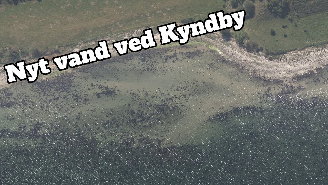Kyndby fra en anden vinkel! Fluefiskeri ved Kyndby Værket