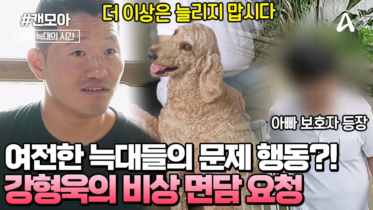 [#캔모아] 🙅솔루션 거부하는 아빠 보호자에게 면담 요청한 강형욱! 🗯️개통령이 그에게 전한 팩폭은?! | 개와 늑대의 시간 8회