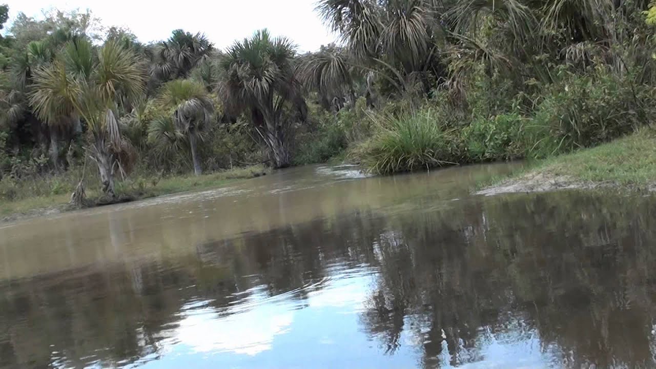 CÓRREGO DO BARREIRO, BELEZA NATURAL, SONS DA NATUREZA PARA RELAXAMENTO, AFLUENTE DO RIO TAQUARI
