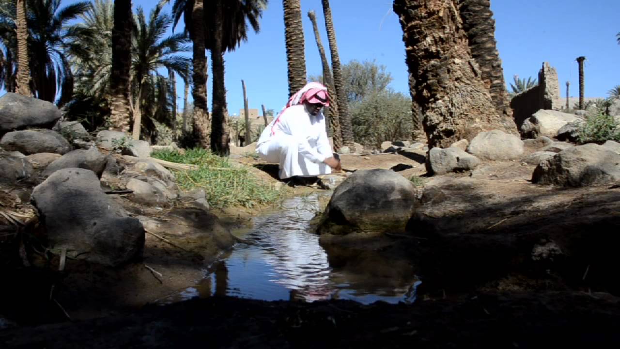 هذا هو الحايط للمنشد ابو عبدالرحمن الحايطي HD