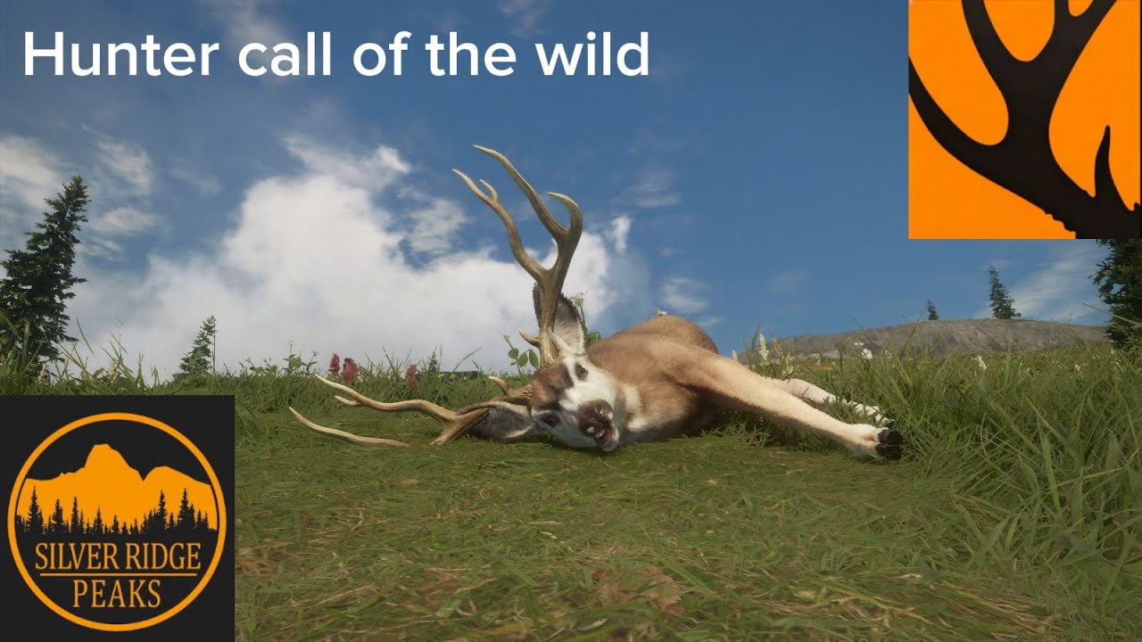 Hunter call of the wild 