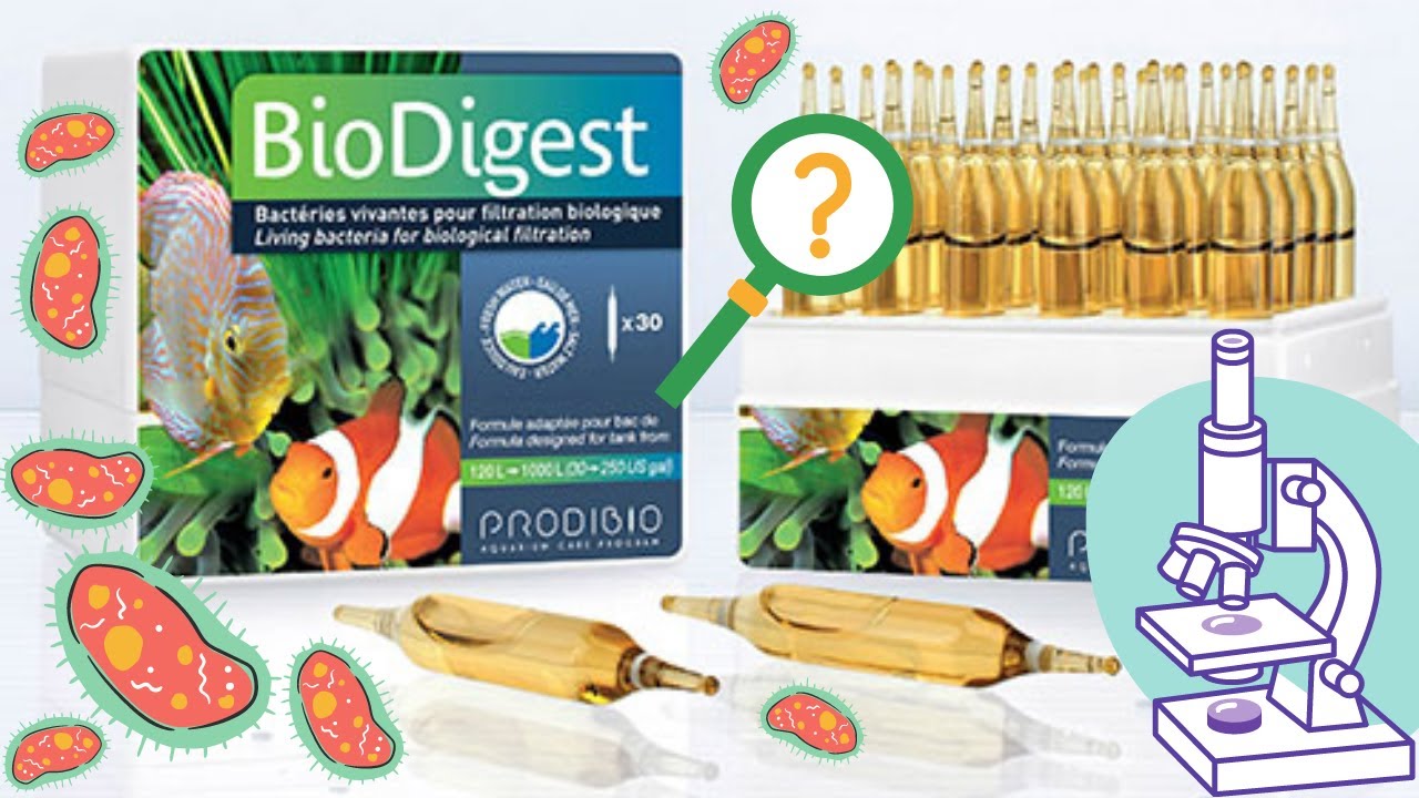 DENTRO DE LAS AMPOLLAS BIODIGEST DE PRODIBIO? - ACUARIOFILIA JEREZ