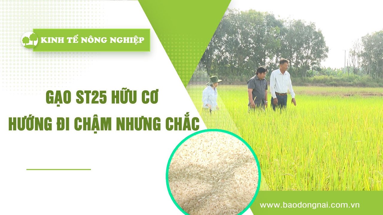🔴 Kinh tế nông nghiệp 23-1-2026|Thông tin hữu ích || ĐNNRTV