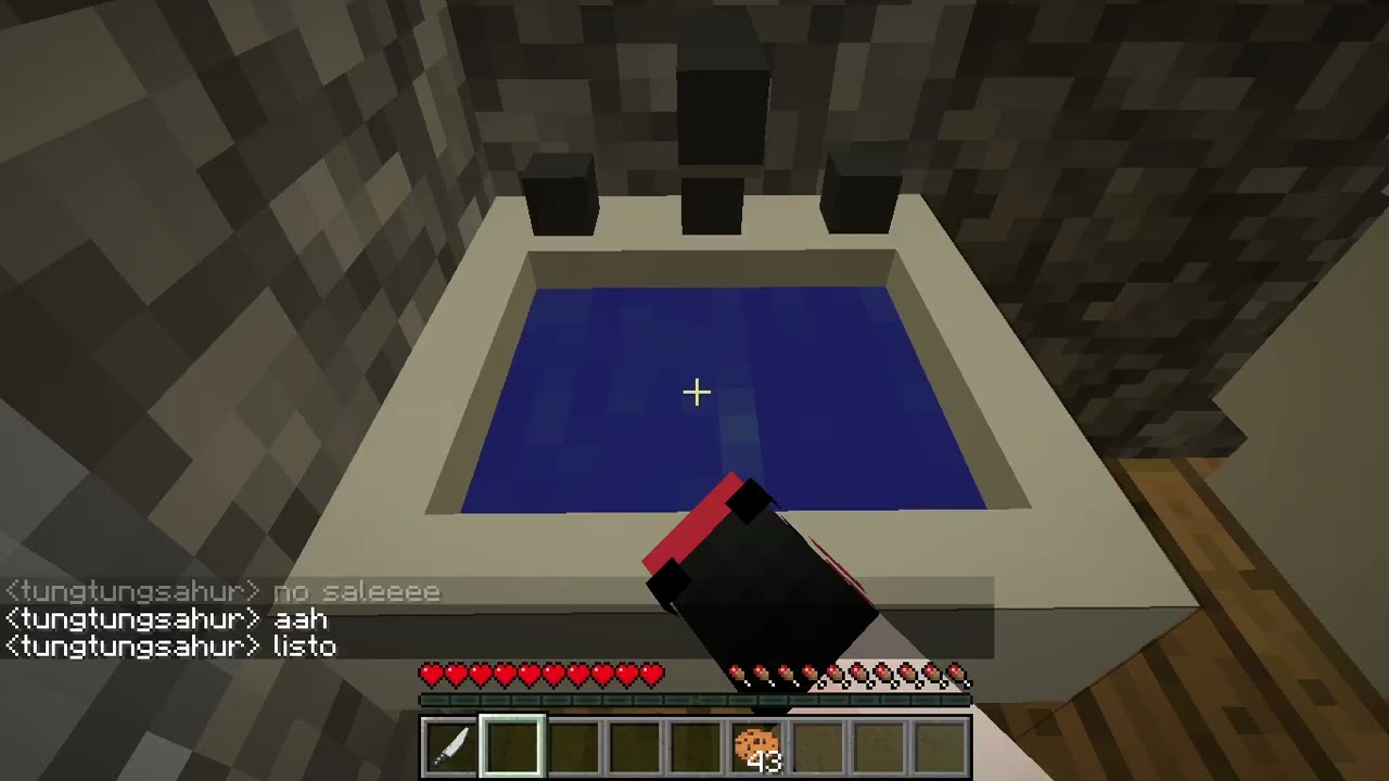Video pro de minecraft 