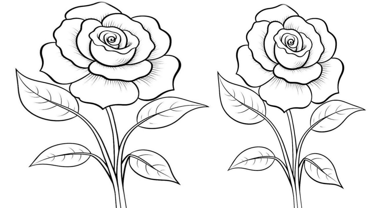 How to Draw a Rose easy art for beginners