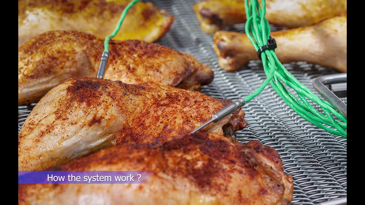 PHOENIXTM「FOS14」Thru-Process Food Temperature Profiling for HACCP Food Cook Validation l PP Systems