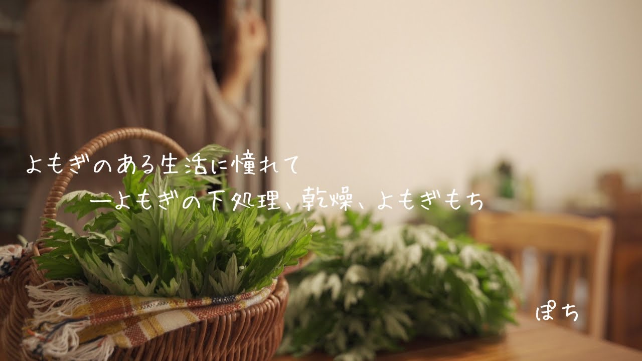 ひとり暮らし｜待ちに待ったよもぎを収穫した‬ ｜よもぎペーストで作るよもぎ餅