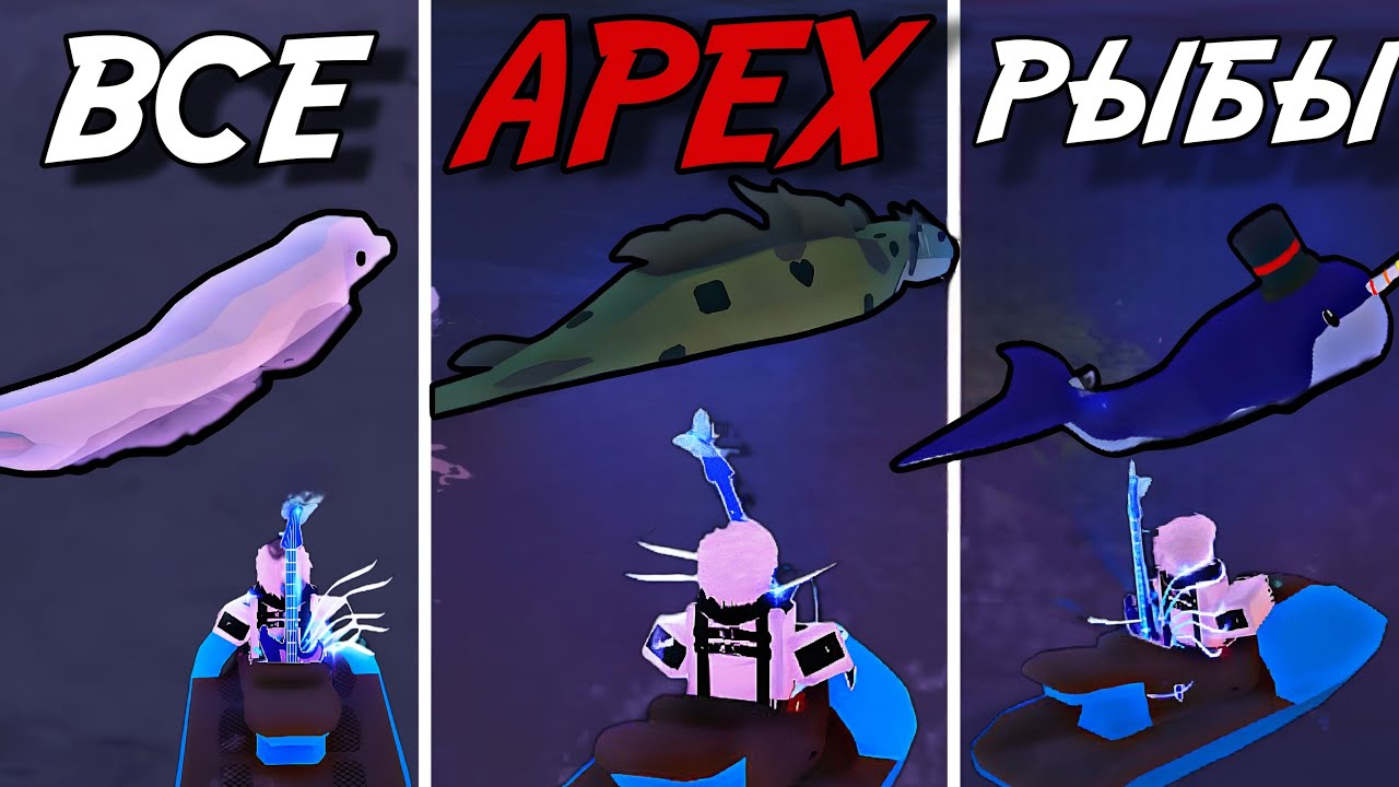 ВЫЛОВИХ ВСЕХ ВОЗМОЖНЫХ *APEX* РЫБ В FISCH ROBLOX!