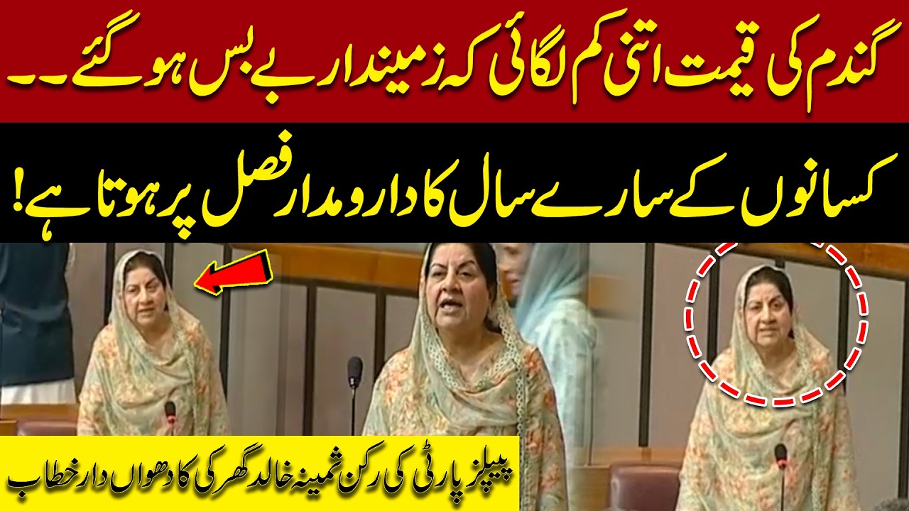 Farmers in Crisis? PPP MNA Samina Khalid Ghurki Raises Wheat Price Issue in National Assembly