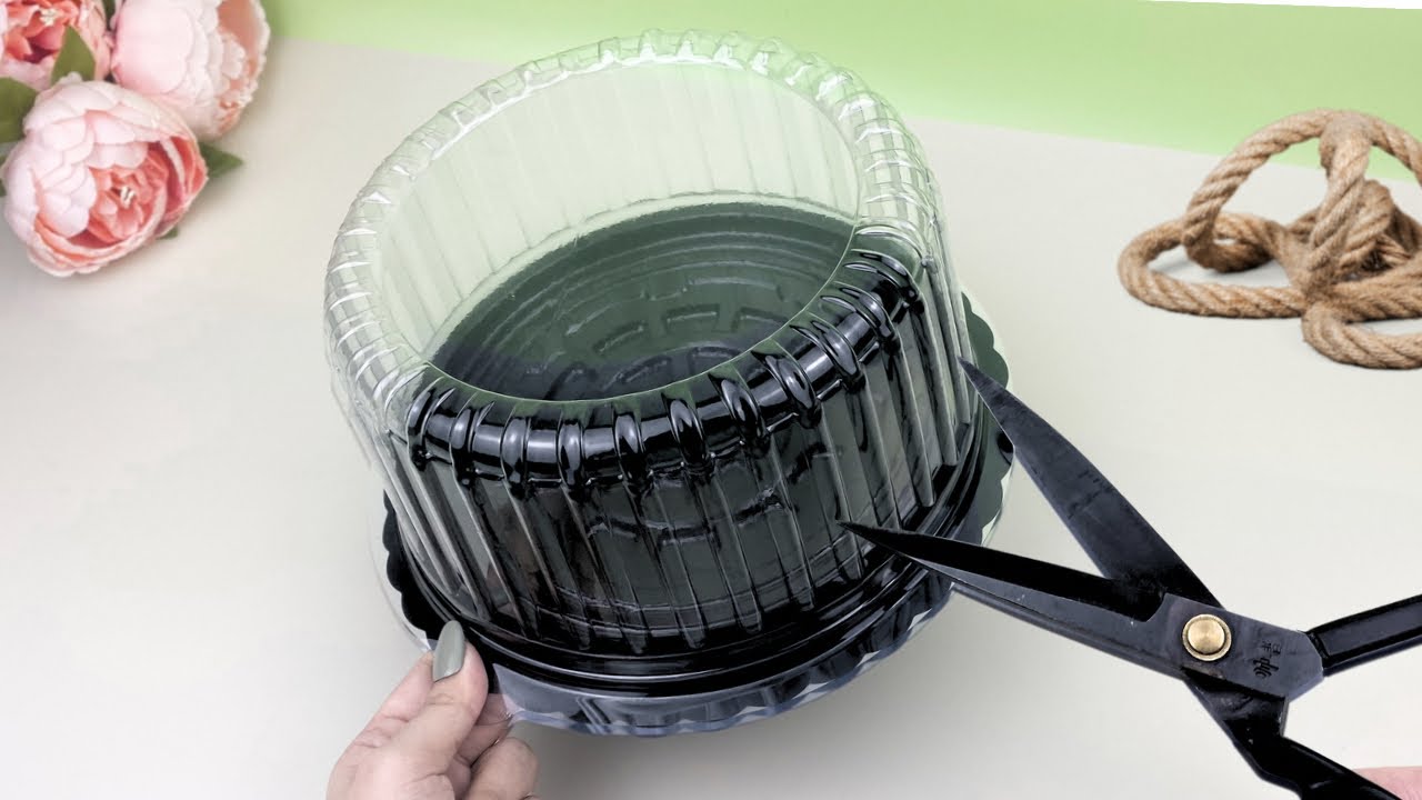 Don't Throw Away Plastic Cake Containers! Brilliant Ways to Reuse Them