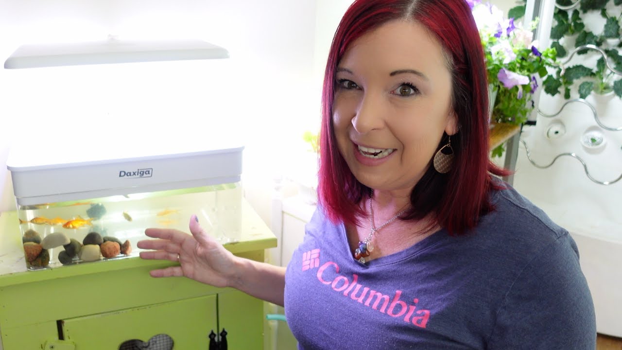 FISH TANK INDOOR GARDEN  - DAXIGA UNBOXING