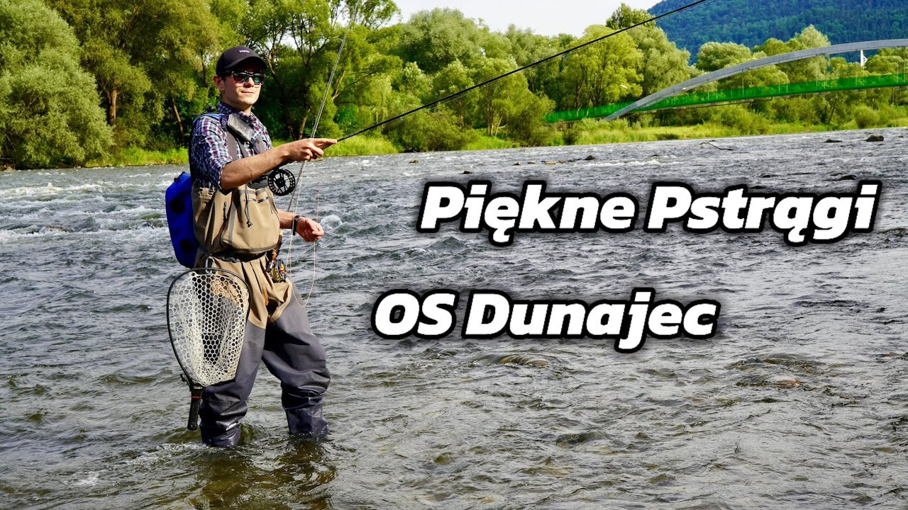 OS Dunajec - Piękne Pstrągi na Muchę | Fly Fishing in Poland | Dunajec River | Cz.3