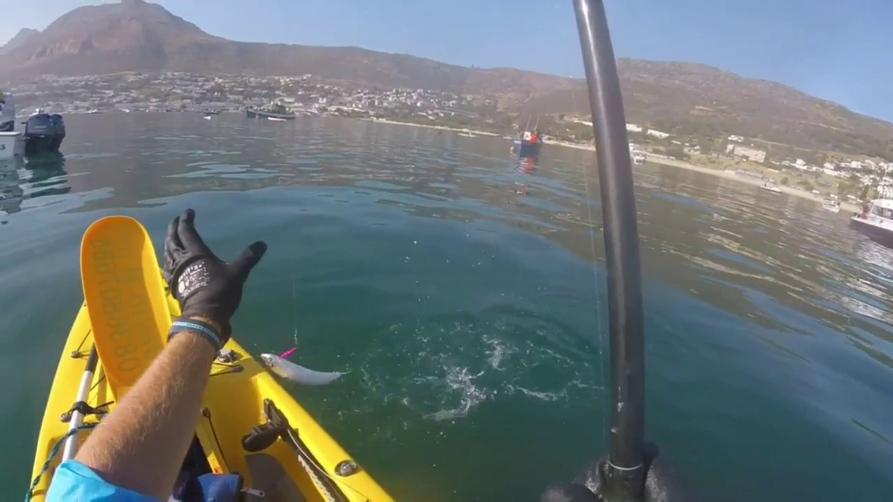 Kayak Fishing Simonstown Mackerel