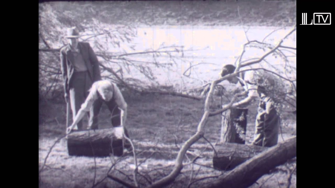 The legendary Wally Hammond in 'This Is Cricket' | Cricket History