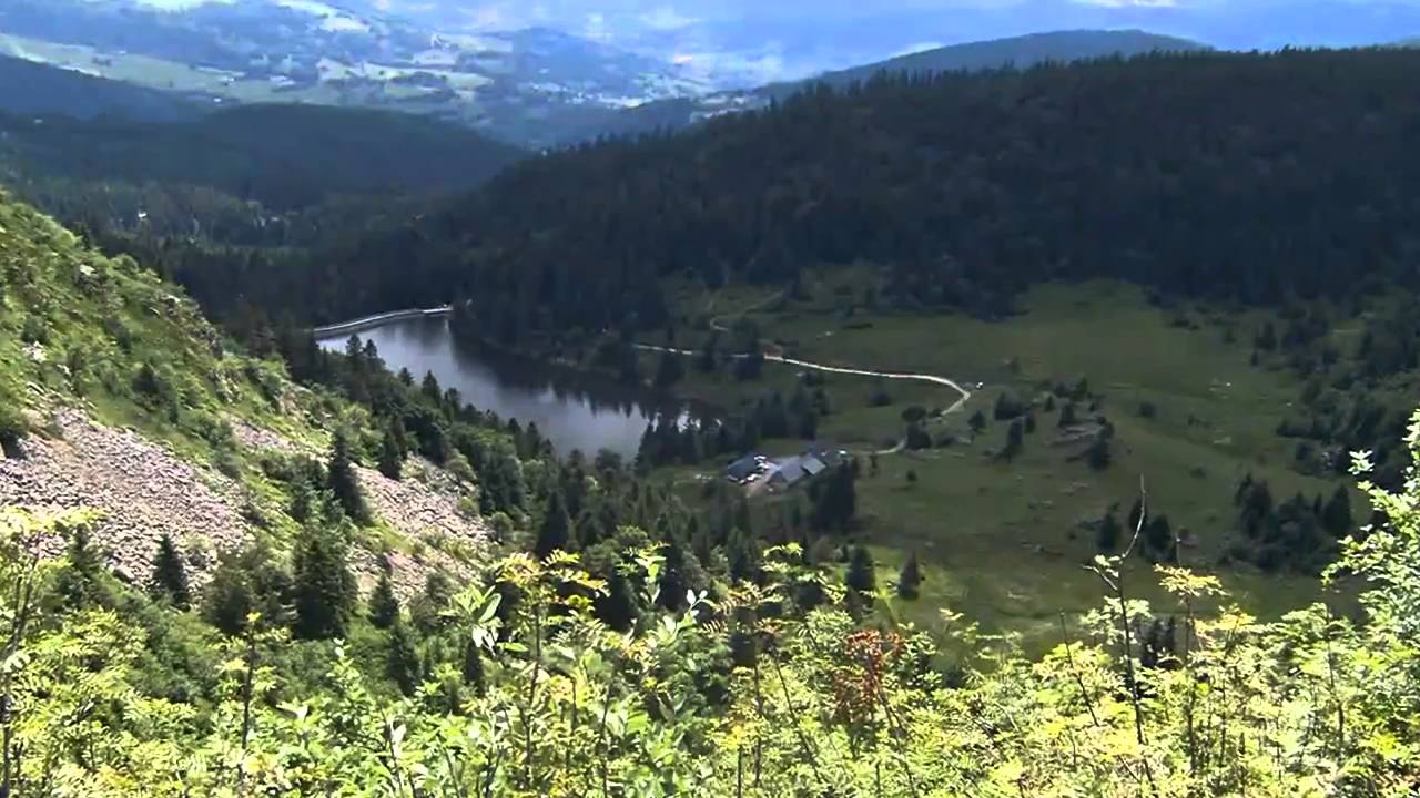 La vallée de Munster - les crêtes