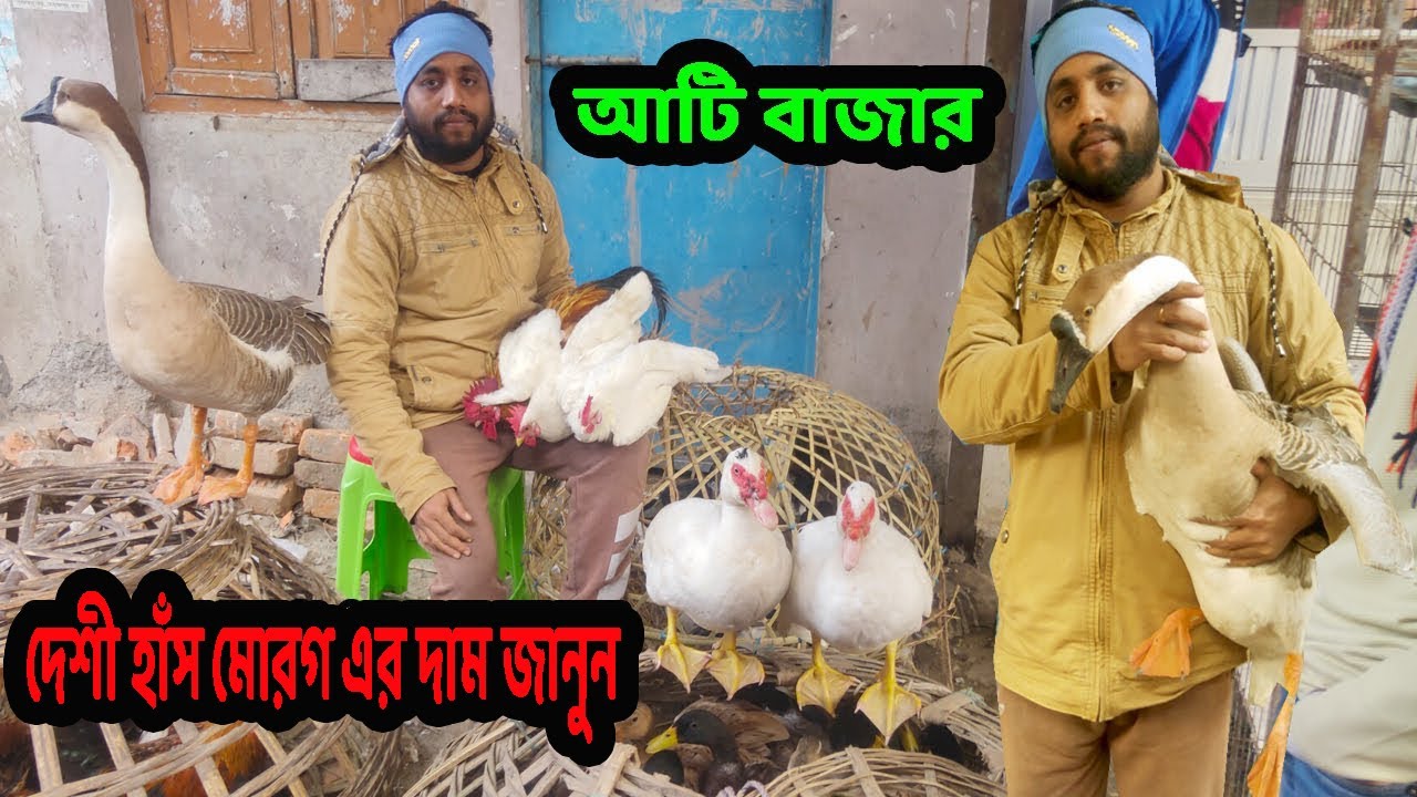 আটি বাজার হাট থেকে হাঁস ও চীনা মুরগির দাম জানুন | Ati Bazar Keraniganj