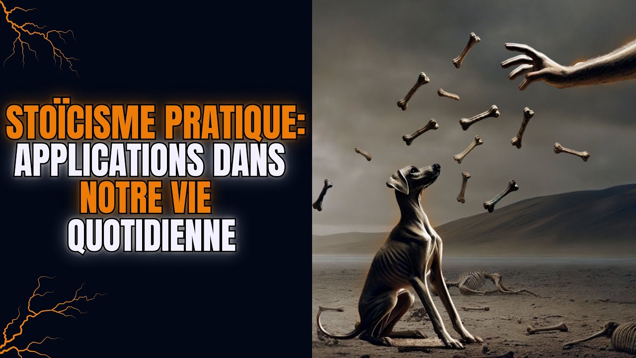 🔍LEÇONS STOÏQUES : CAS RÉELS DANS LA VIE QUOTIDIENNE 🌟