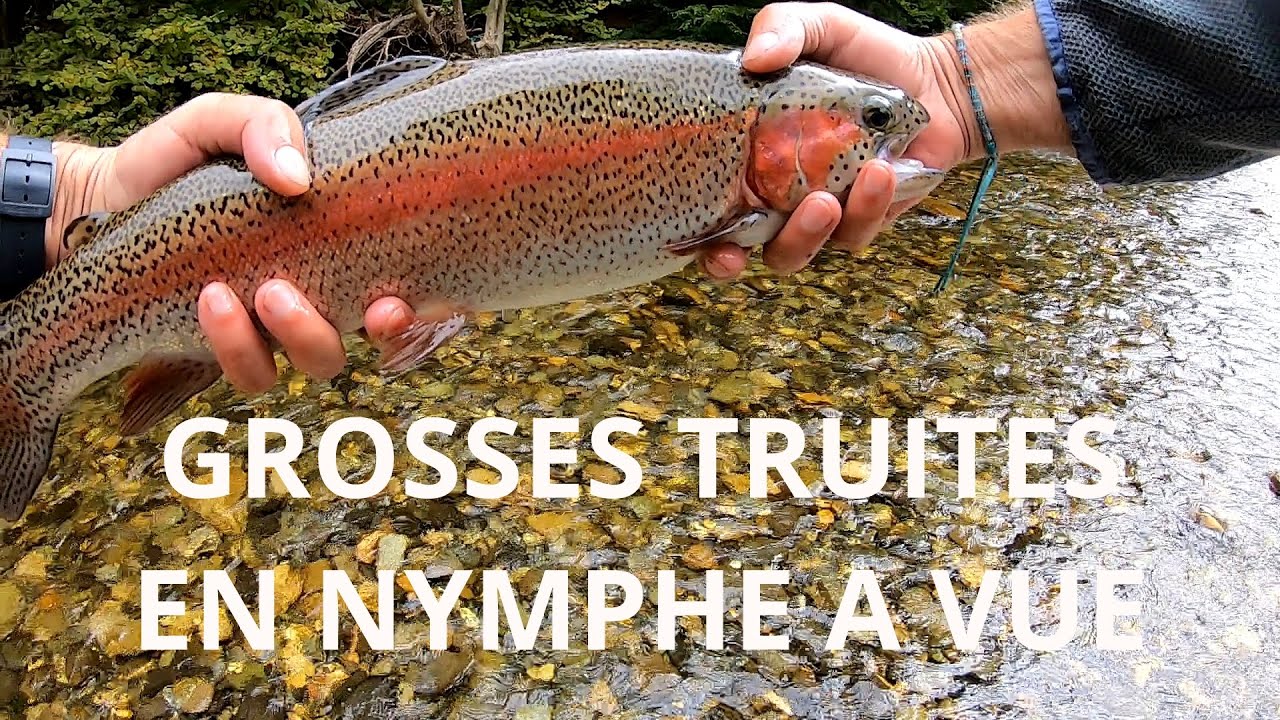 GROSSES TRUITES EN NYMPHE A VUE