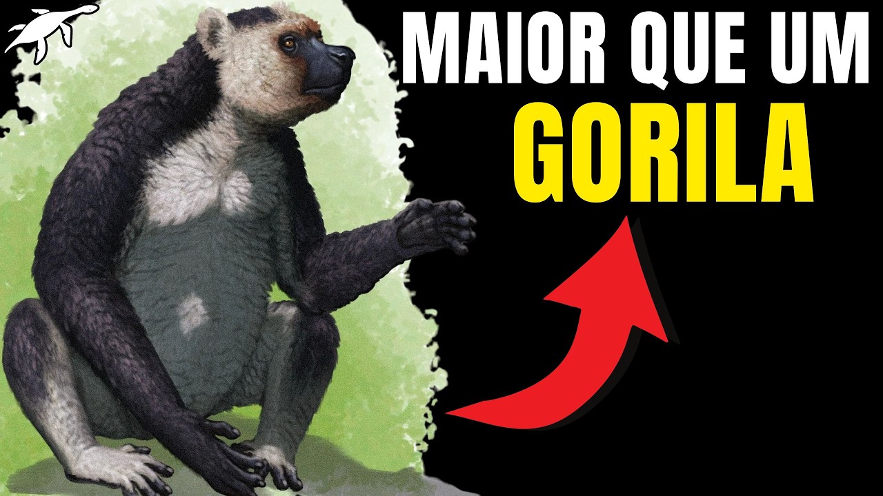 ORIGEM e EVOLU&Ccedil;&Atilde;O dos L&Ecirc;MURES