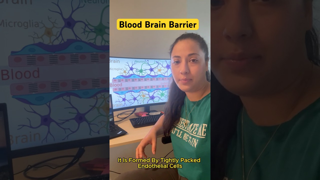 #BloodBrainBarrier
