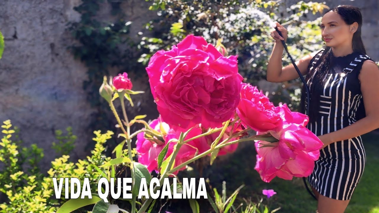 Vida simples que acalma | crochê,pão caseiro e cuidando do lar 🏡