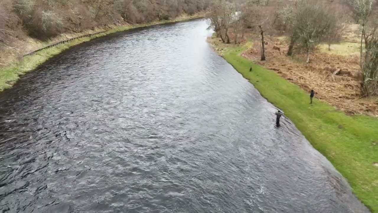 Salmon fishing on the River Spey. A view from another level at Tulchan beat D