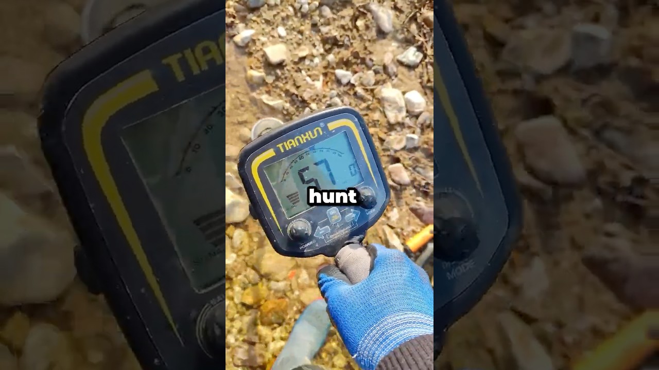 They Went Metal Detecting&hellip; Then Found Something Illegal