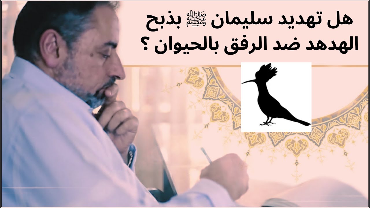 هل تهديد سليمان ﷺ بتعذيب أو ذبح الهدهد يتنافى مع الرفق بالحيوان؟