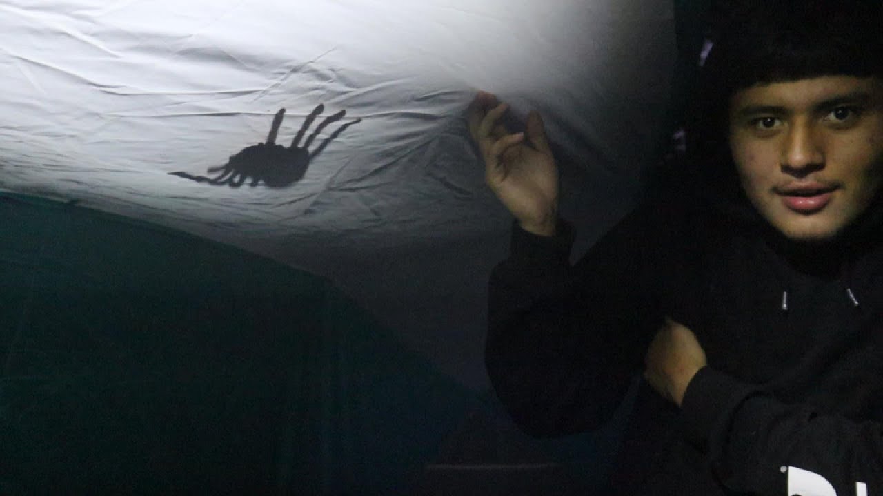 OVERNIGHT CHALLENGE IN THE WOODS!!!!