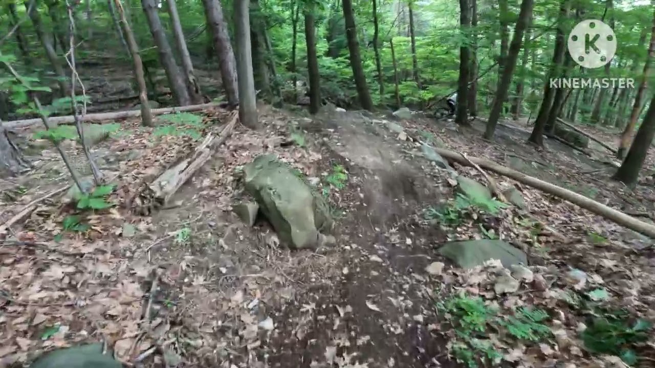 Il picchio - Monte Musiné Trail Area