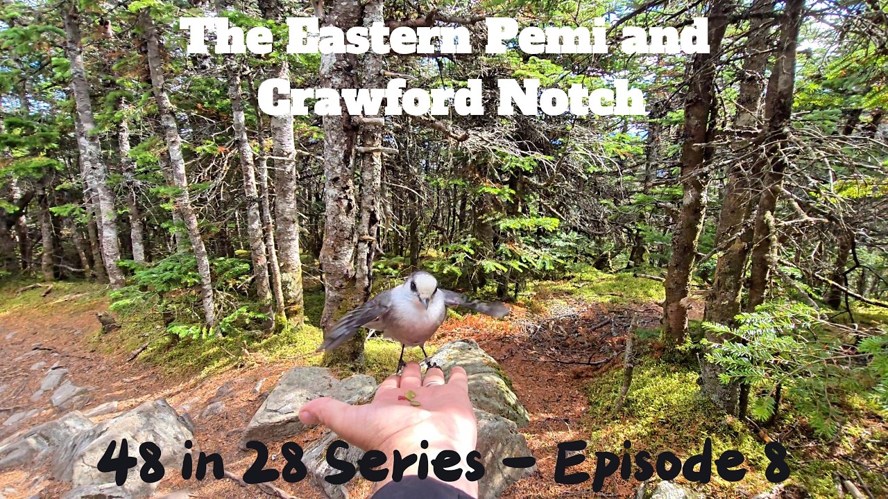 48 in 28 Series - Episode 8: The Eastern Pemi & Crawford Notch