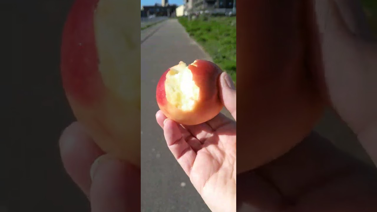 Утренняя прогулка 👋