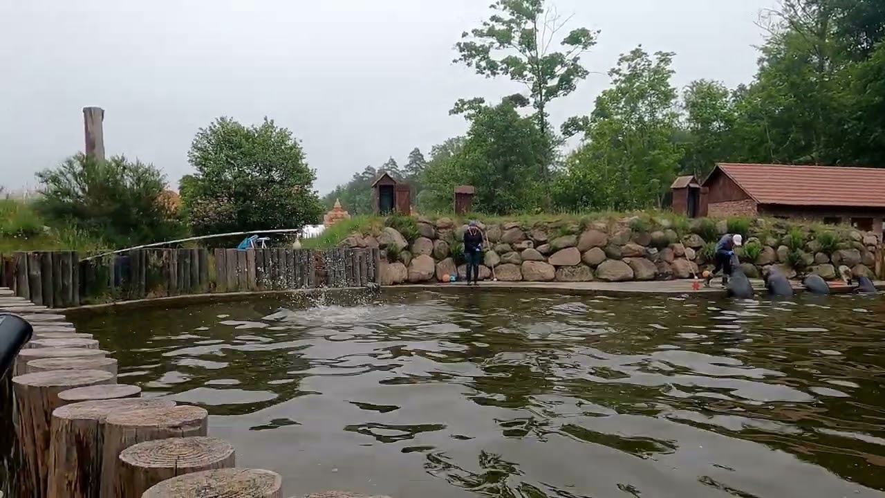 Fokarium, Dolina Charlotty