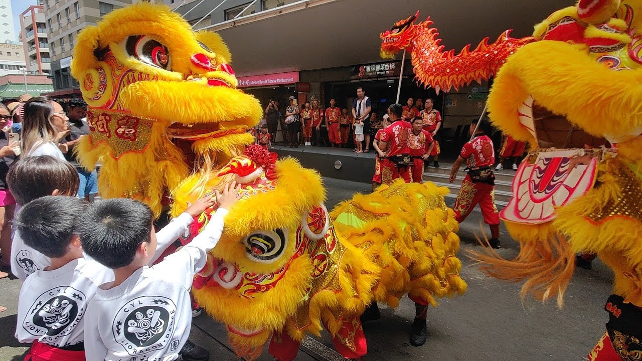 悉尼春节舞龙舞狮 lion Dance in Sydney Chinatown 2024 Chinese New Year lunar new year Dragon Dance