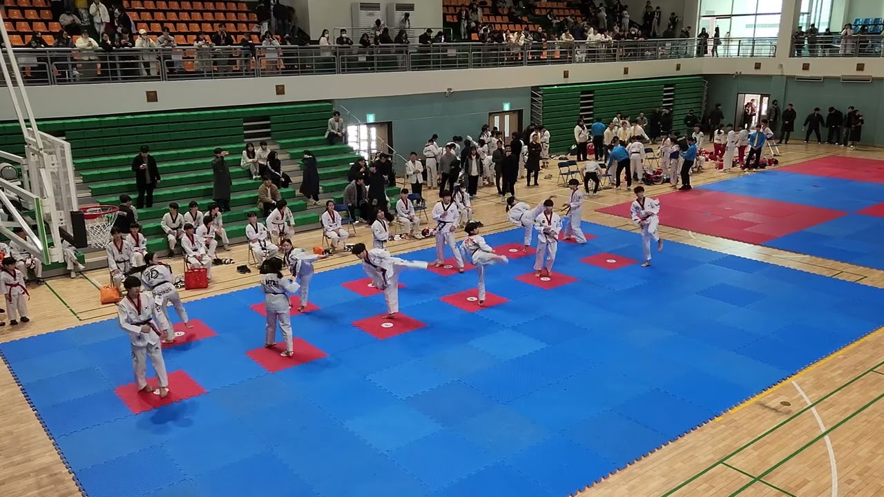 24년 1월 국기원승품단심사(4품) / 박윤성