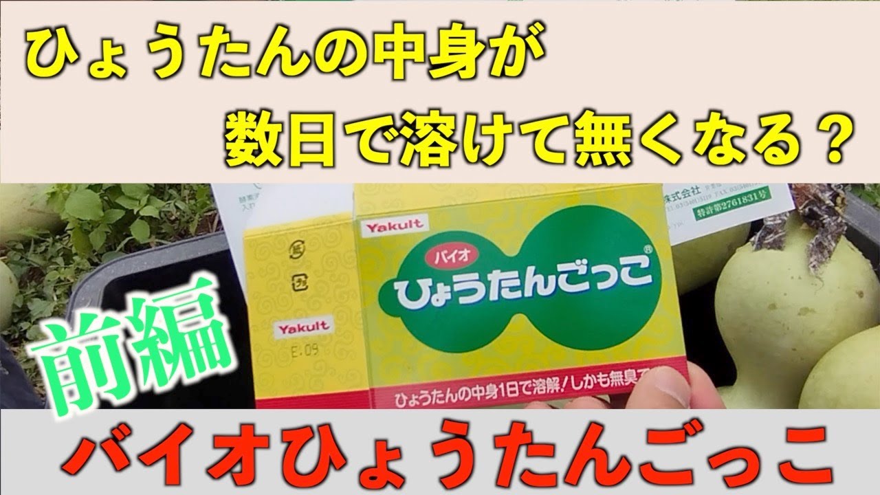 ひょうたん中身のくり抜き作業＜前編＞