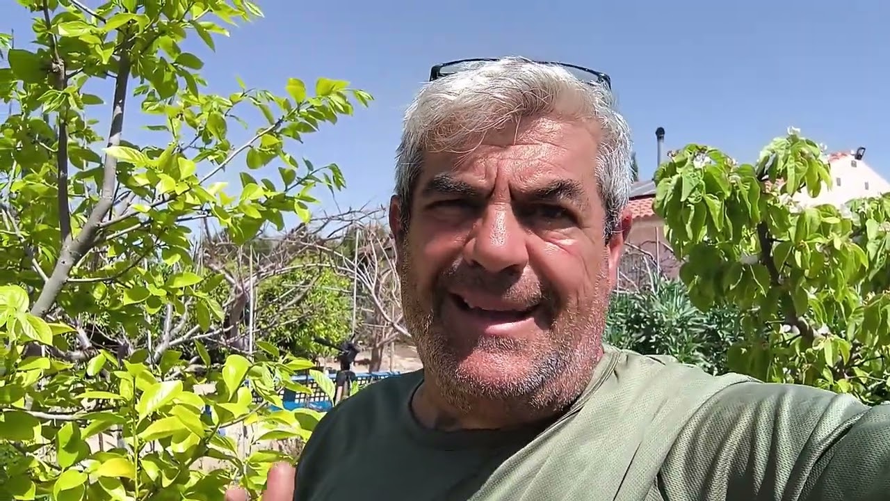 En que tipo de tallos trabaja el caqui