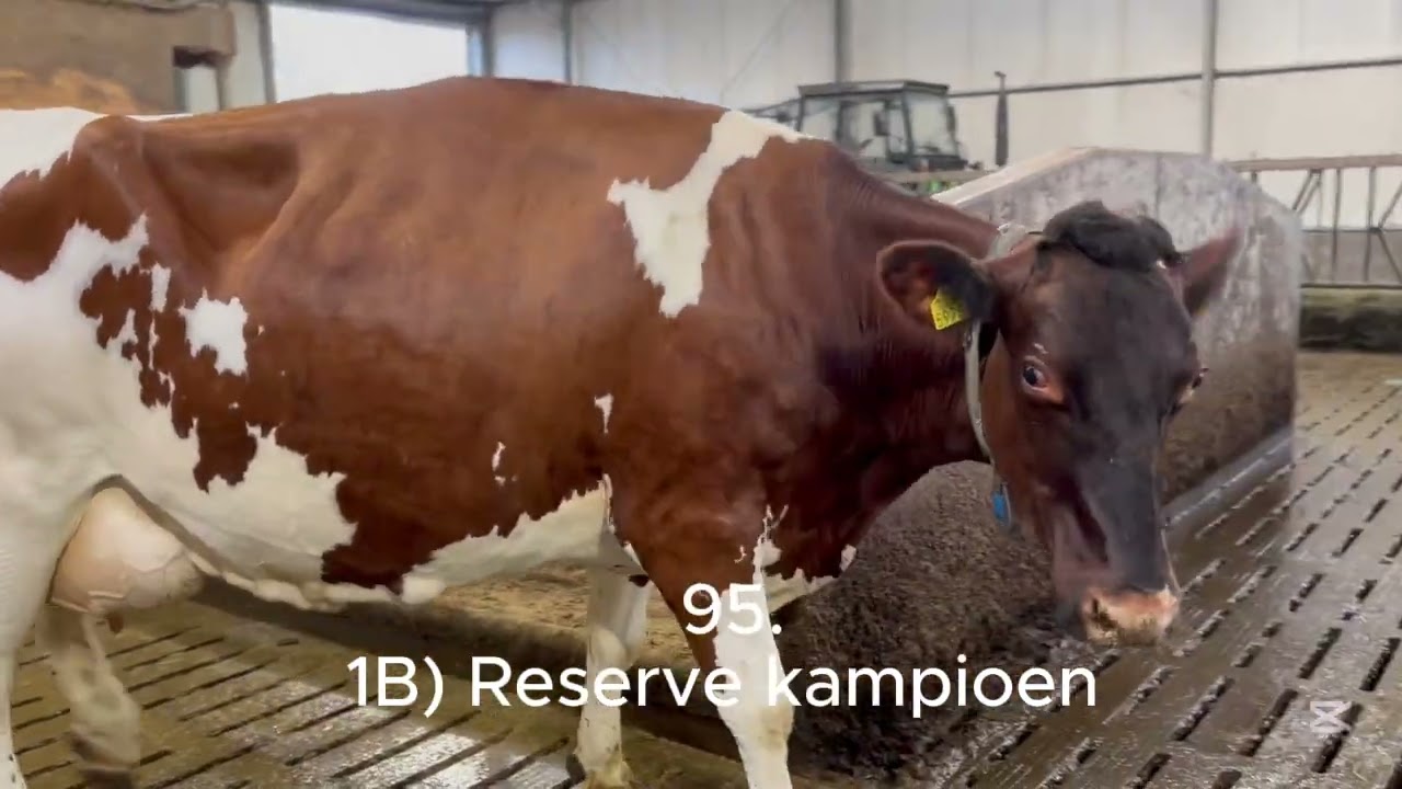 Uitslag RB Oud 2026