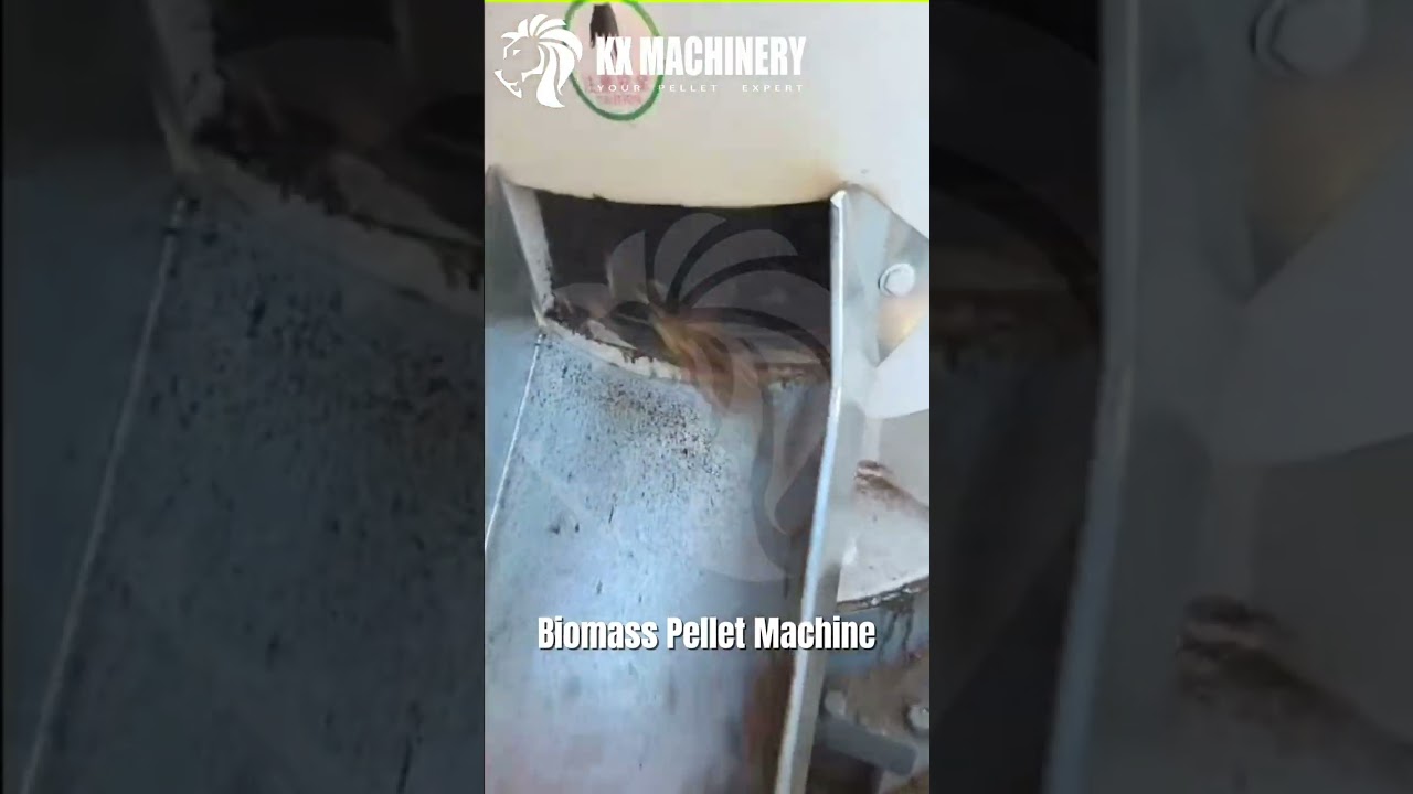 Heavy Duty Pellet Machine High Capacity Biomass Pellet Mill for Efficient Production#pelletmachine