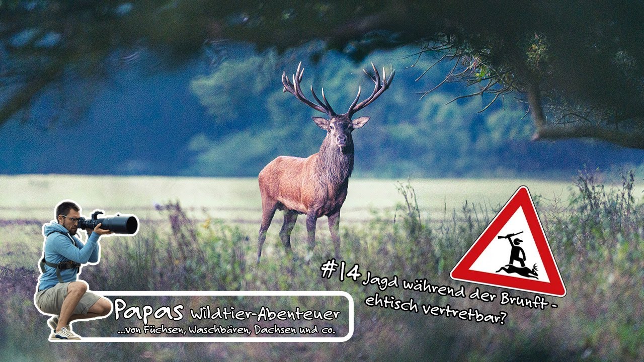 Folge 14 - Jagd während der Brunft - ehtisch vertretbar?