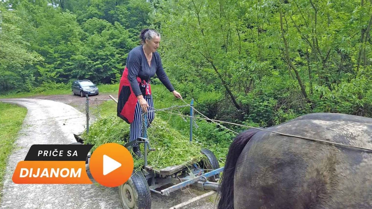 Samohrana majka će u zatvor zbog sječe drva?