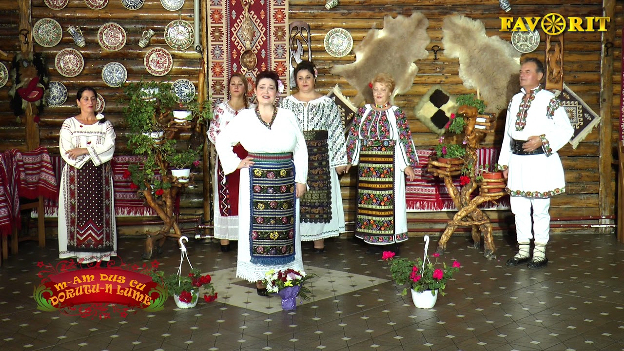 ELENA VASILE-CALIN  -  Mai stai vreme, timp nebun