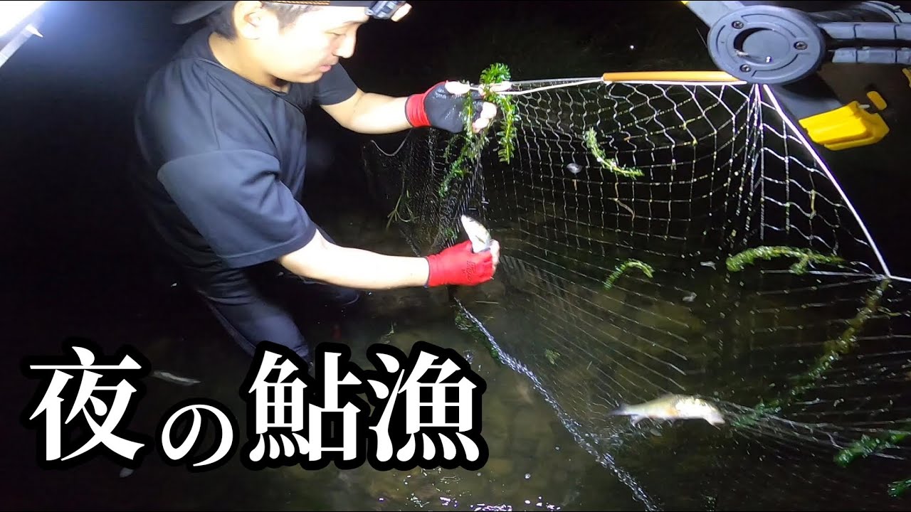 夜の鮎漁で大漁を目指した結果