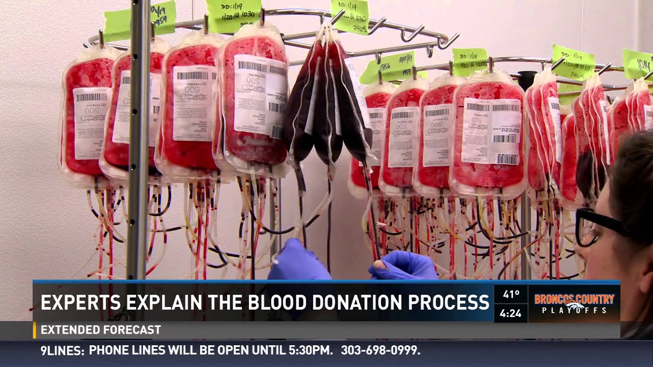 Blood's journey from donor to patient