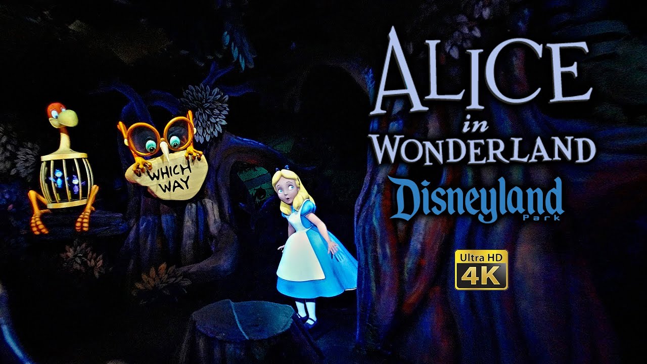 Alice in Wonderland On Ride Low Light 4K POV Disneyland 2025 01 13